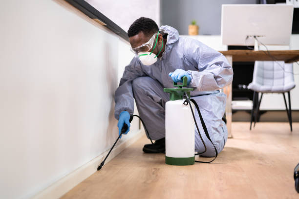 Best Fumigation Services  in Twinsburg Heights, OH